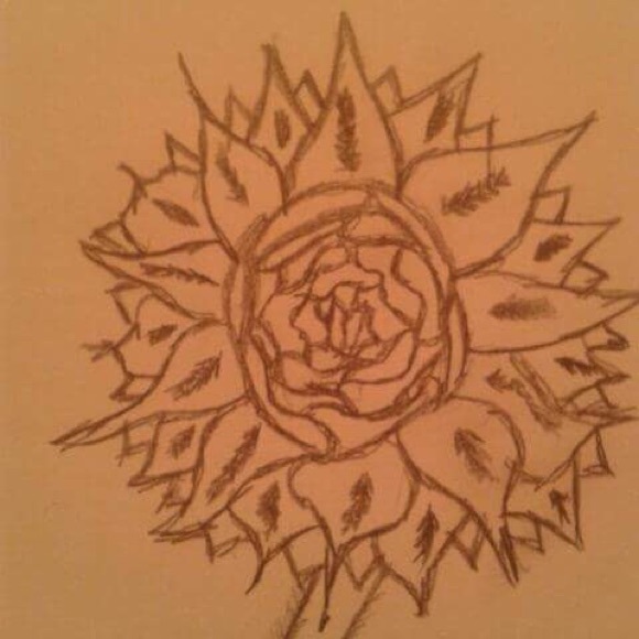 Drawing - Picture 6 of 8